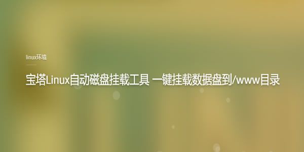 宝塔Linux自动磁盘挂载工具一键挂载数据盘到/www目录